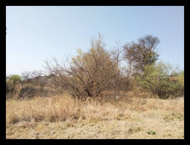 LAND FOR SALE IN VAAL MARINA